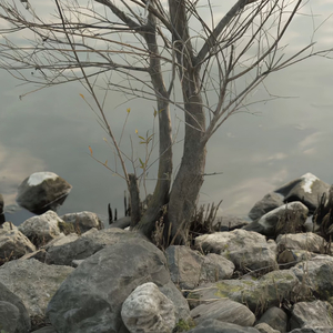 猫女面包加工厂原视频
